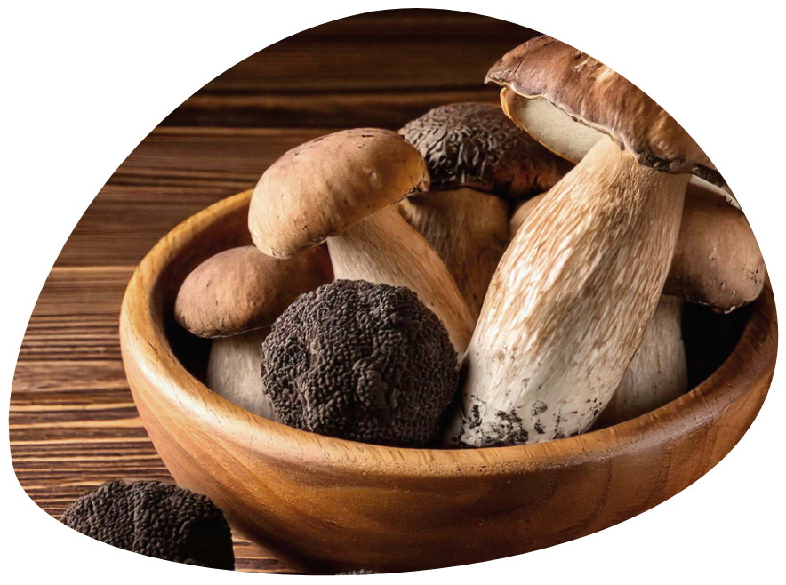 Crema-di-funghi-con--tartufo-dial-funghi